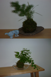 ������Ё@�L�m�f�U�C�����[�N�^�y�ۋʓW���̔��z